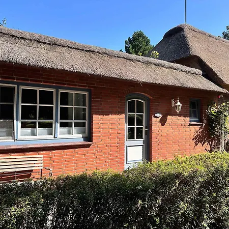 Sky & Homes Austernfischer I 3 In Reetdachanwesen Hus Op De Duen Böhl