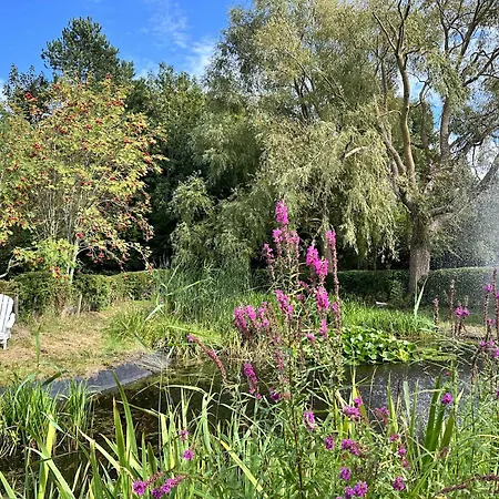 Sky & Homes Austernfischer I 3 In Reetdachanwesen Hus Op De Duen Apartmán *