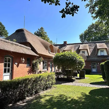 Sky & Homes Austernfischer I 3 In Reetdachanwesen Hus Op De Duen Apartmán *